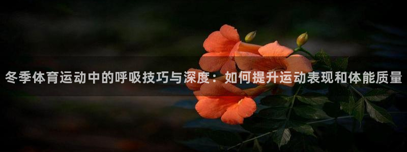 蜘蛛体育品牌：冬季体育运动中的呼吸技巧与深度：如何提升运动表现和体能质量