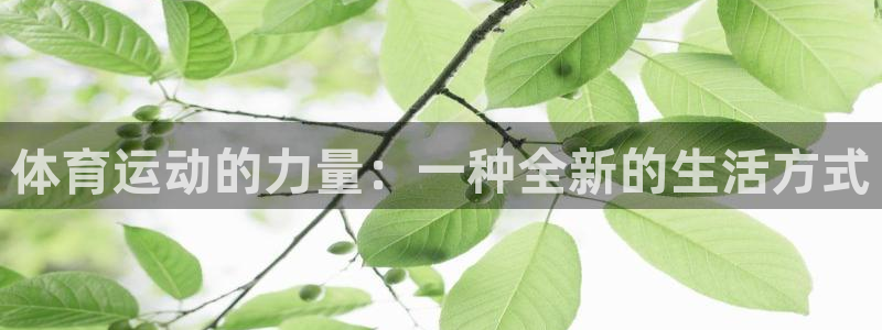 蜘蛛体育观看