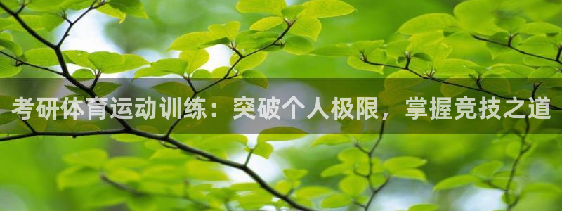 蜘蛛体育app下载安装