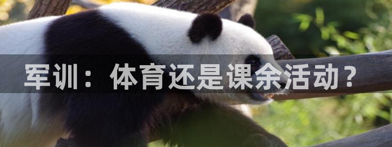 蜘蛛体育直播nba：军训：体育还是课余活动？