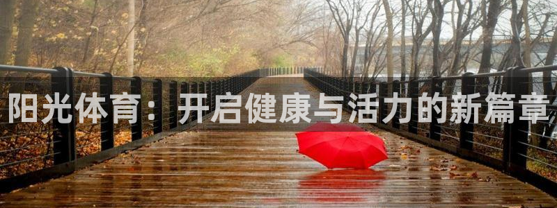 蜘蛛体育录像在线观看