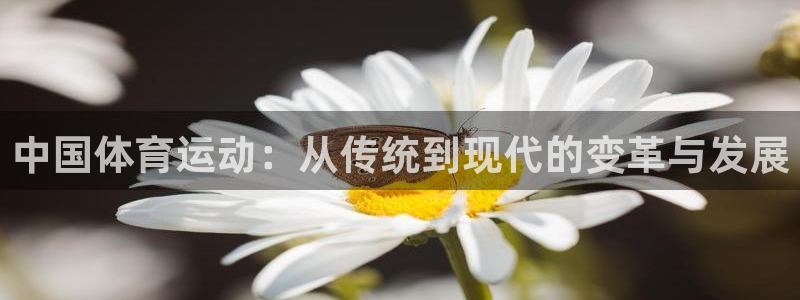 蜘蛛体育网：中国体育运动：从传统到现代的变革与发展