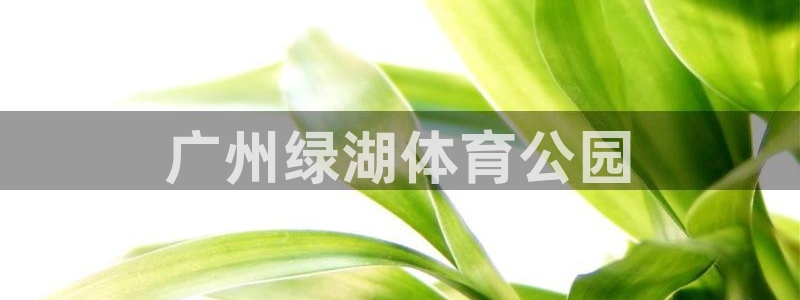 蜘蛛体育官网免费直播nba：广州绿湖体育公园