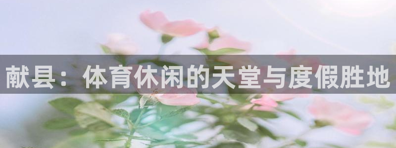 蜘蛛体育网游快速版.快速入口.香港