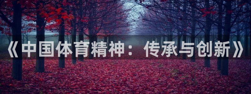 蜘蛛体育观看