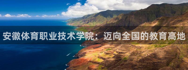 蜘蛛体育足球直播入口